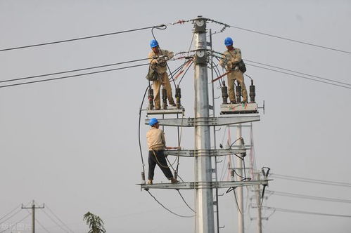 线路避雷器 基本原理、关键技术要求与电力工程应用详解